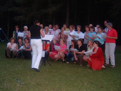 el Grillo, krekels in Drenthe el Grillo, krekels in Drenthe